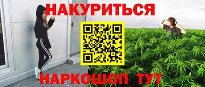 Альфа ПВП Будённовск