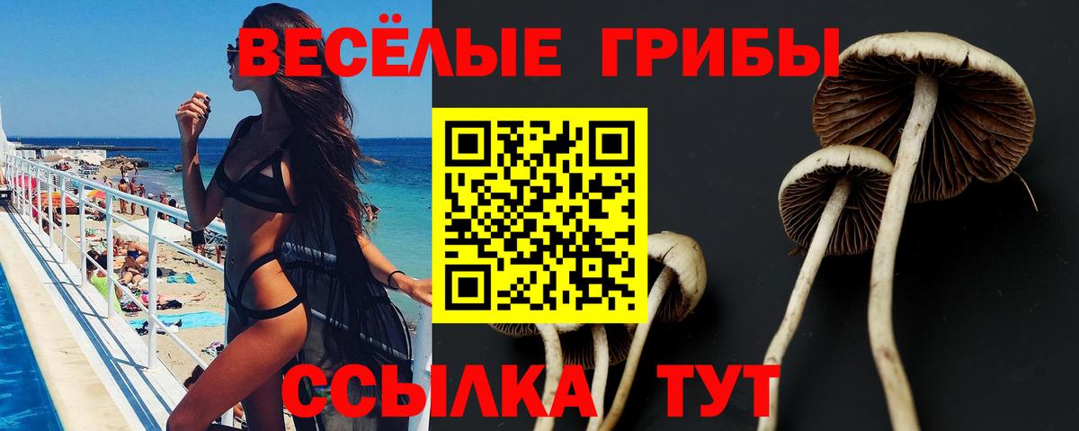 Псилоцибиновые грибы прущие грибы Нефтеюганск